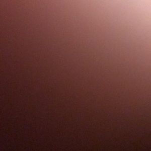 Meet your Posher, Dawoud